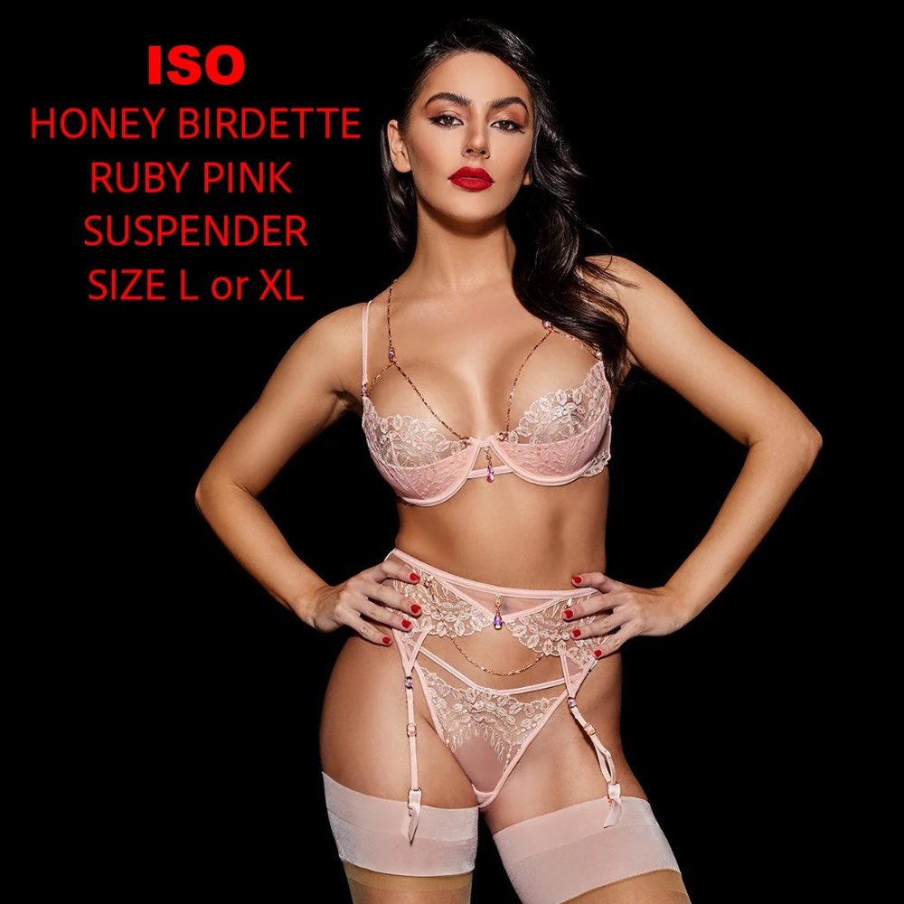 ISO Honey Birdette RUBY PINK SUSPENDER